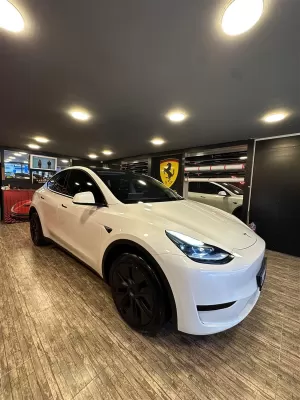 Tesla Model Y Cam Filmi Uygulaması